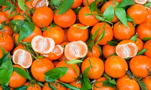 mandarine shutterstock 80418991 jpeg