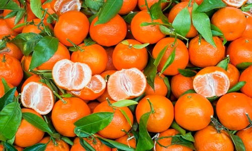 mandarine shutterstock 80418991 jpeg