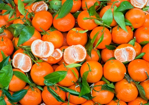 mandarine shutterstock 80418991 jpeg