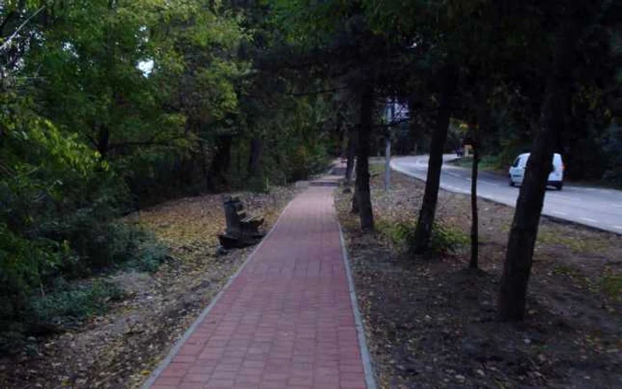 Suceava duce lipsă de spaţii verzi deşi are o pădure în centrul oraşului. FOTO Lucian Harşovschi