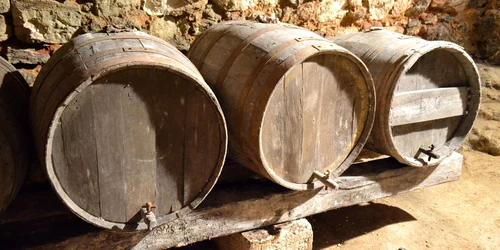 butoaie vin pivnita jpg