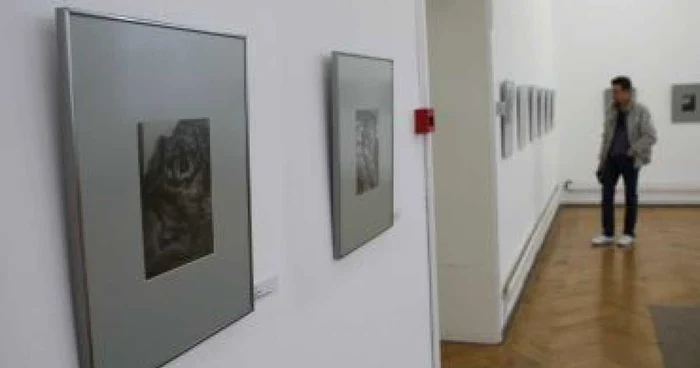 Braşov: Expoziţie de fotografie, la Muzeul de Artă (GALERIE FOTO)