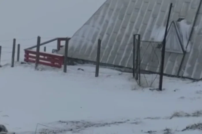 Zăpadă în Masivul Bucegi