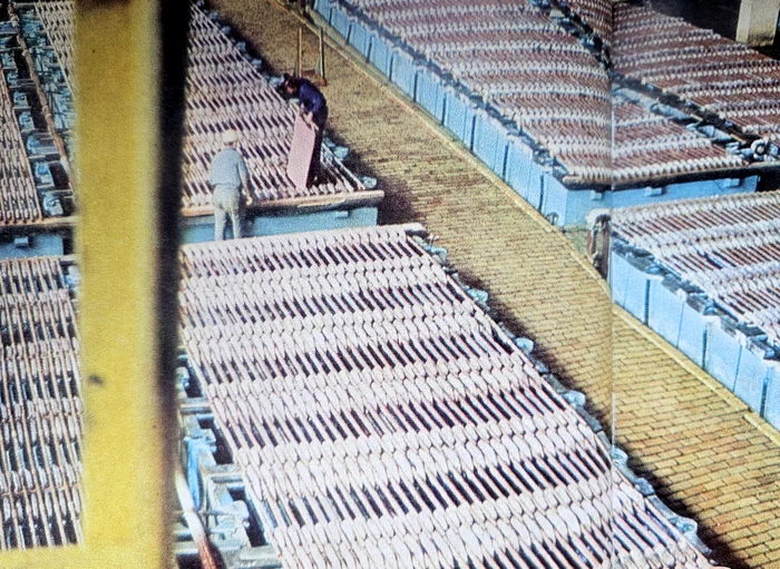 Baia Mare în anii '80. Fotografie: Sandu Mendrea, Album Maramureș, Editura Sport - Turism, 1982