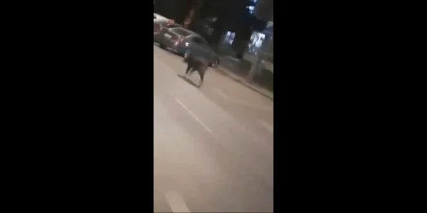 mistret cluj