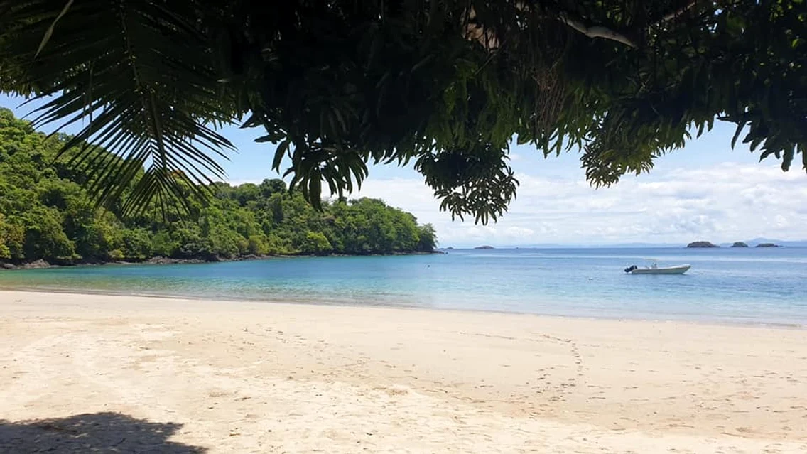 2 panama2 jpg jpeg