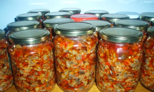 OLYMPUS DIGITAL CAMERA jpeg