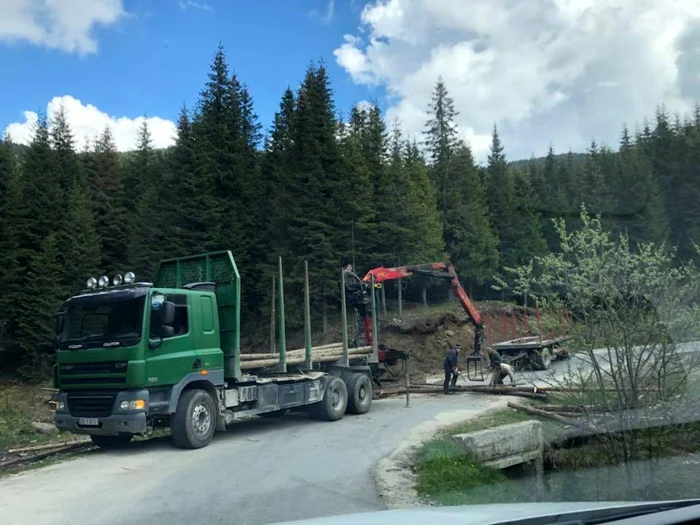 Furt de lemne surprins de hotelierii din Bucegi. Ce fac autorităţile