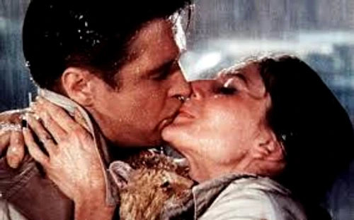 1 65973 original jpg jpeg