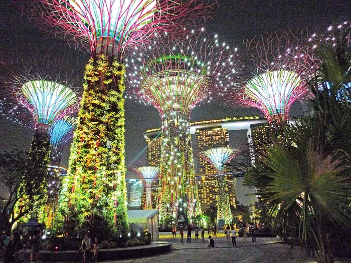 Copacii solari oferă seara un spectacol de lumini