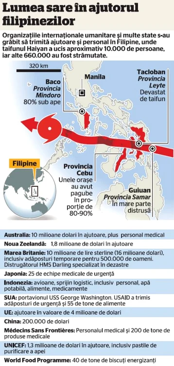infografie 