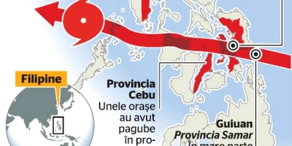 infografie 