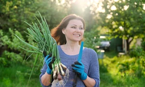 shutterstock 1677464290 1 jpeg