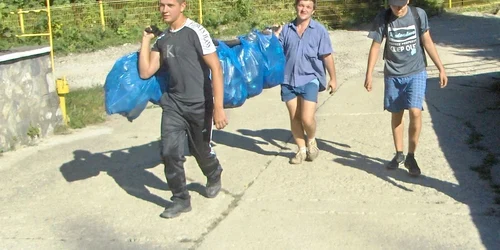 Asociaţia „Floare de Colţ” nu este la prima acţiune de ecologizare