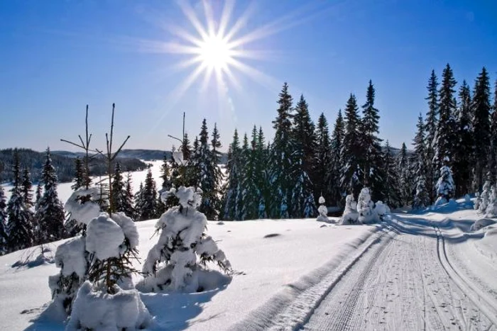 
    Avem vești bune de la meteorologii ANM: urmează două zile cu temperaturi mai mari decât ar fi normal la jumătatea lunii ianuarieFOTO: Click!  