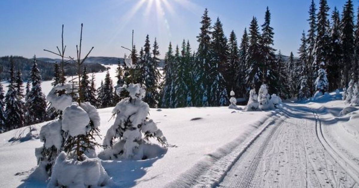 Temperaturi record pe 8 ianuarie în România