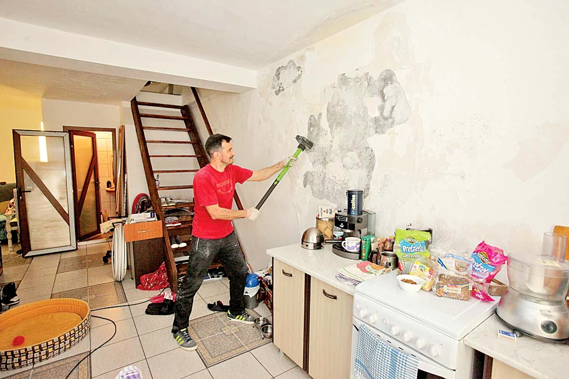 Livingul urma să fie şi el demolat