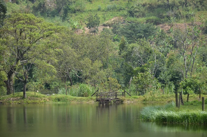 Expediţia lui David Neacşu în Africa