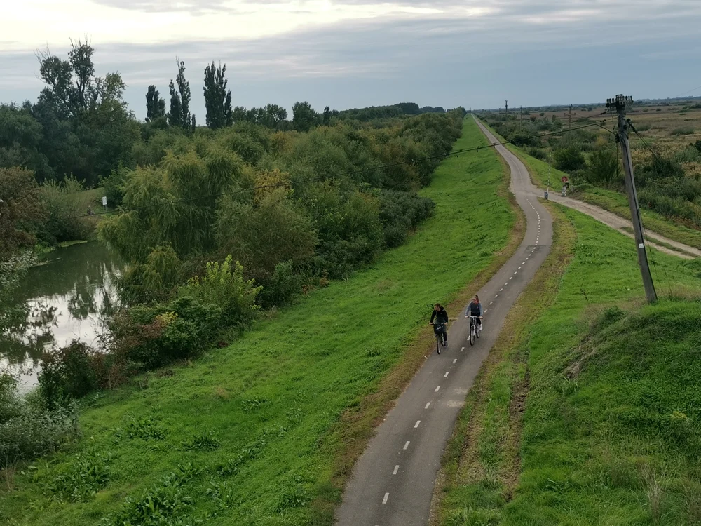 Pista de bicicletă de pe digul Begăi FOTO Ștefan Both
