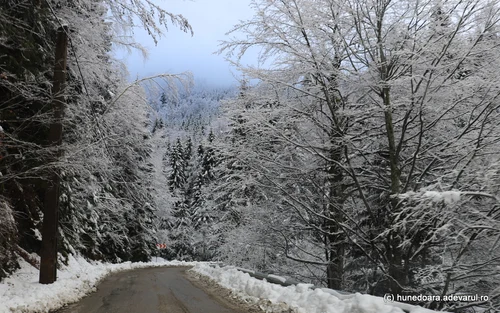 Stațiunea Râușor din Munții Retezat Foto Daniel Guță ADEVĂRUL (14) JPG