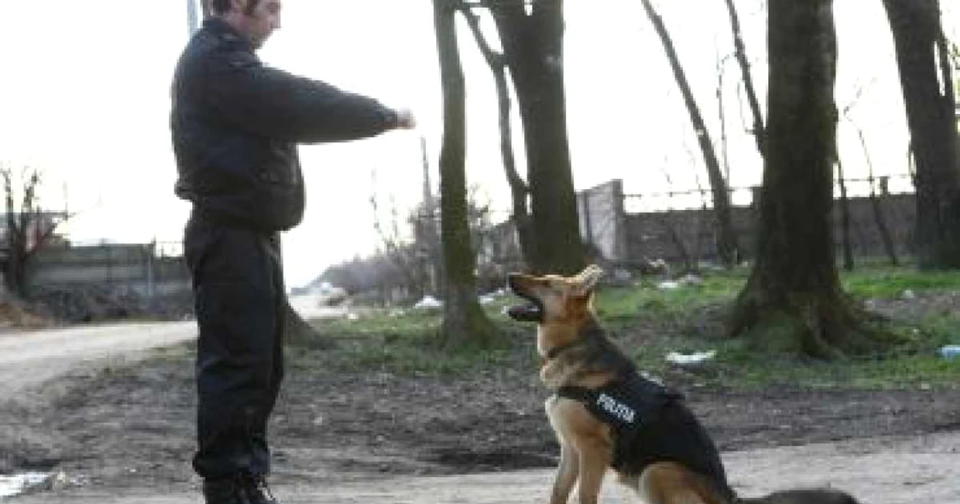 Lala va fi vândută la licitaţie pentru că nu sare la infractori