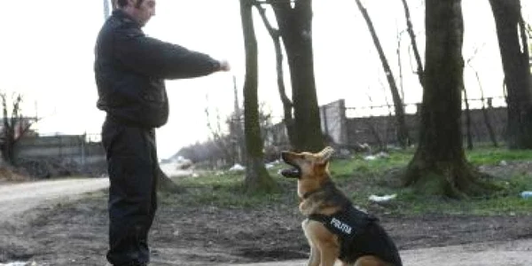 Lala va fi vândută la licitaţie pentru că nu sare la infractori
