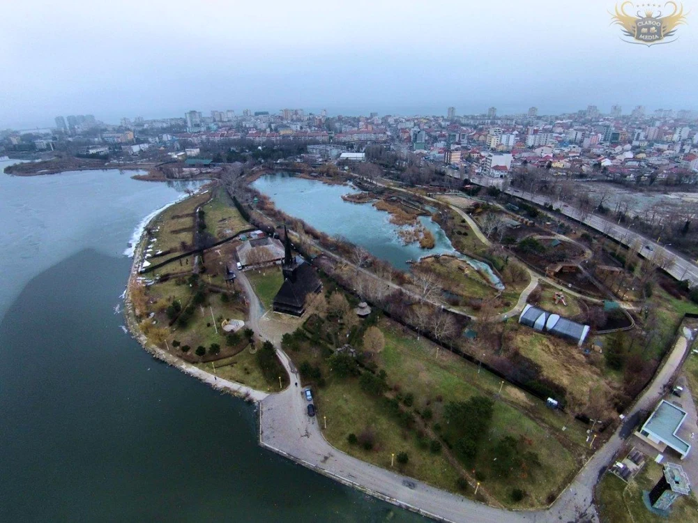 Lacul Tăbăcărie a devenit paradisul păsărilor călătoare