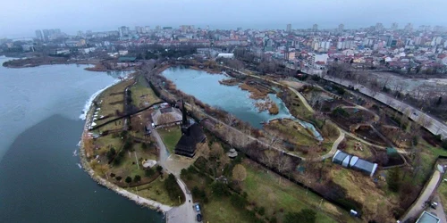 Lacul Tăbăcărie a devenit paradisul păsărilor călătoare