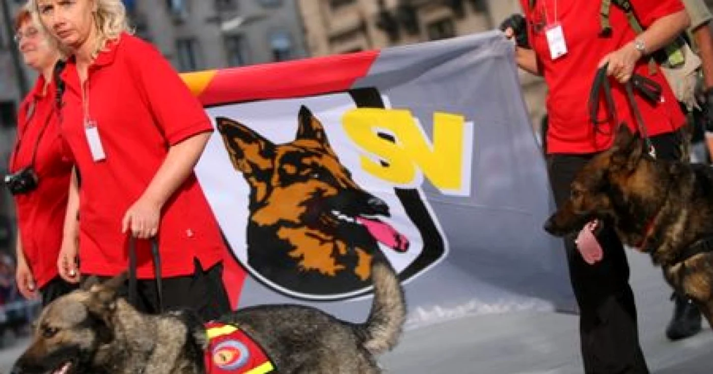 Craiova: România celebrează 25 de ani de activitate chinologică utilitară de salvare