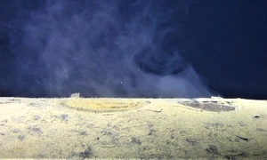 Screenshot 2026 03 28 195722 jpg