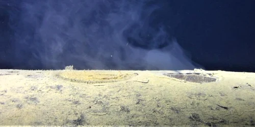 Screenshot 2026 03 28 195722 jpg