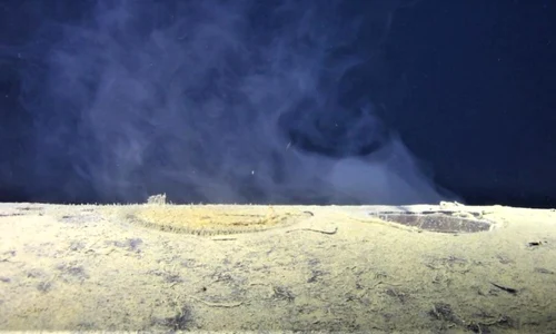 Screenshot 2026 03 28 195722 jpg