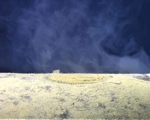 Screenshot 2026 03 28 195722 jpg