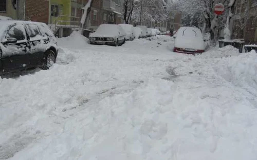 Zăpadă în Timişoara