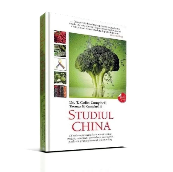 studiul china