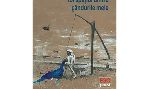 Debutul anului jpeg