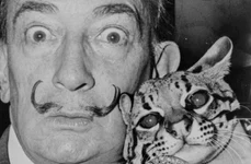 Rămășițele lui Salvador Dali, exhumate la 28 de ani de la moartea artistului jpeg