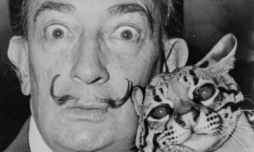 Rămășițele lui Salvador Dali, exhumate la 28 de ani de la moartea artistului  jpeg