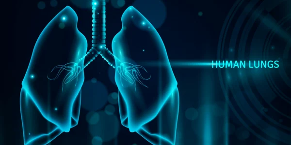 Organ uman transparent plamani FOTO Shutterstock