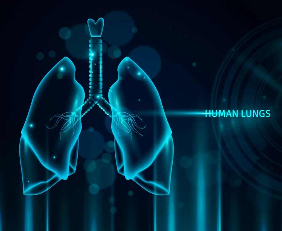 Legătură dintre transplantul de plămâni și o infecție bacteriana. Foto: Shutterstock