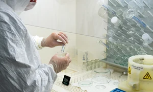 Langya virus jpg