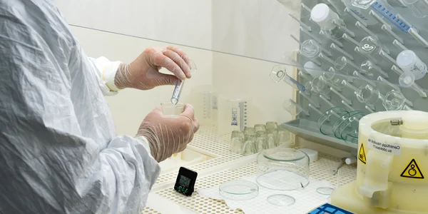 Langya virus jpg
