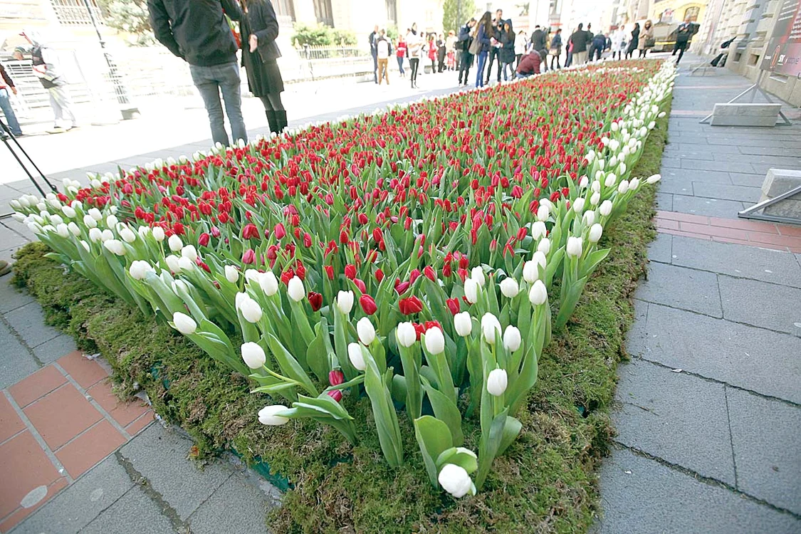 
    Covorul este expus în perioada 3 – 5 aprilie  