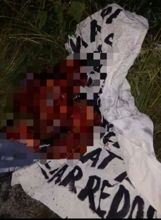 Capetele au fost găsite într-o regiune din Mexic FOTO: X