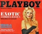 8 andreea banica playboy0 jpg jpeg