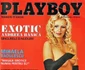 8 andreea banica playboy0 jpg jpeg