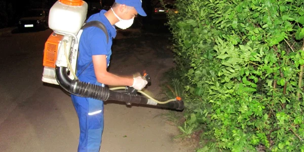 Ultima dezinsecţie a avut loc în Sibiu în luna mai