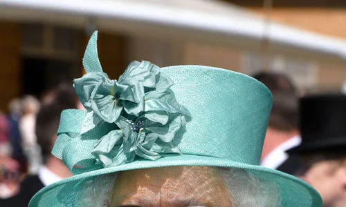 Buckingham Palace Garden Party jpeg