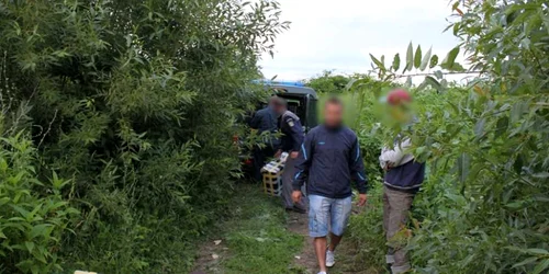 contrabanda duminica