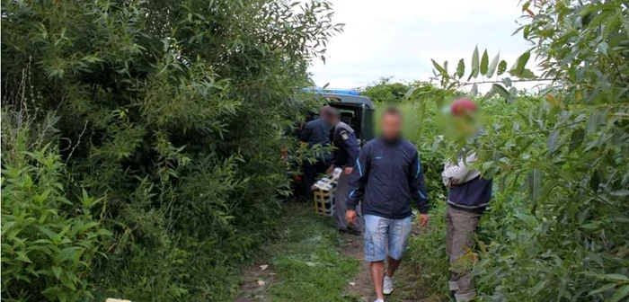 Poliţiştii au confiscat peste 25.000 de pachete cu ţigări de contrabandă FOTO: Adevărul